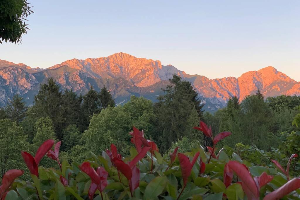 Traditional Villa Bellagio San Primo Lake Como エクステリア 写真