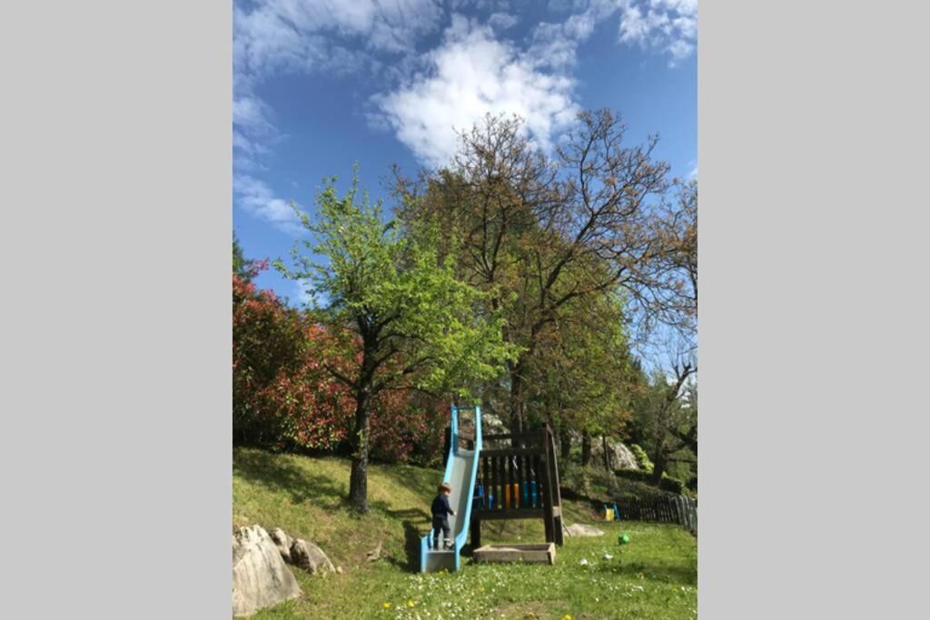 Traditional Villa Bellagio San Primo Lake Como エクステリア 写真