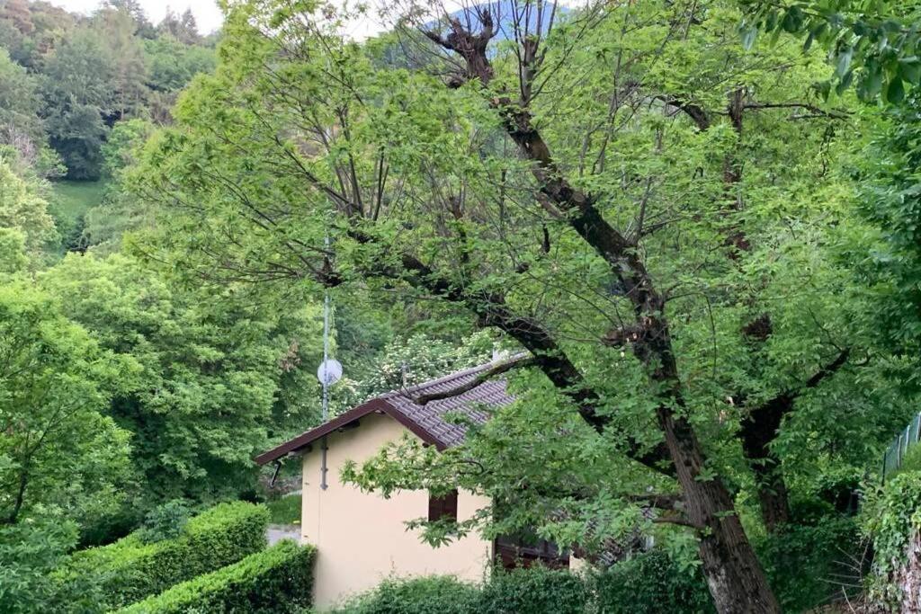 Traditional Villa Bellagio San Primo Lake Como エクステリア 写真